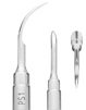 Picture of PS1 - periodontal curette option for Dental Inserts - Periodontal product (BlueSkyBio.com)